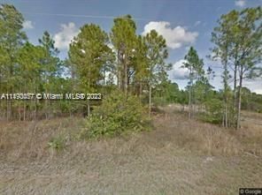 Real estate property located at 203 Horseclub Ave, Hendry, montura ranch, Clewiston, FL