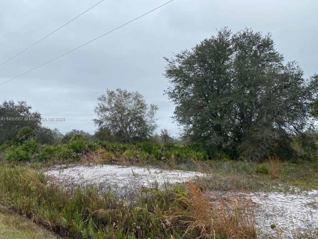 Real estate property located at 17021 266th, Okeechobee County, THE SOUTHERN COLONIZATION, Okeechobee, FL