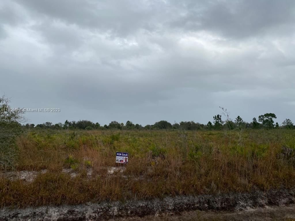Real estate property located at 16967 296th St, Okeechobee County, THE SOUTHERN COLONIZATION, Okeechobee, FL