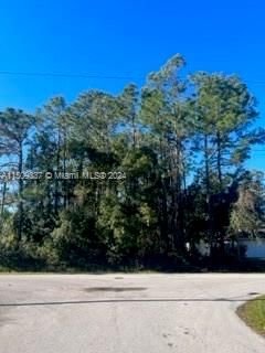 Real estate property located at 6 Bainbridge Lane, Flagler County, Bayside Prcl C, Palm Coast, FL