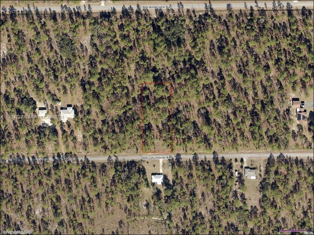 Real estate property located at Lot 24 Columbine Ave, Marion County, RAINBOW LAKES ESTATES SEC, Other City - In The State Of Florida, FL