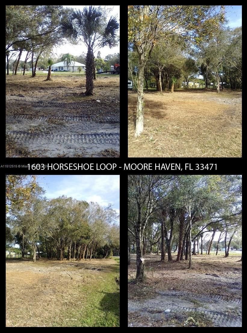 Real estate property located at 1603 HORSESHOE LOOP, Glades County, HORSESHOE ACRES, Moore Haven, FL