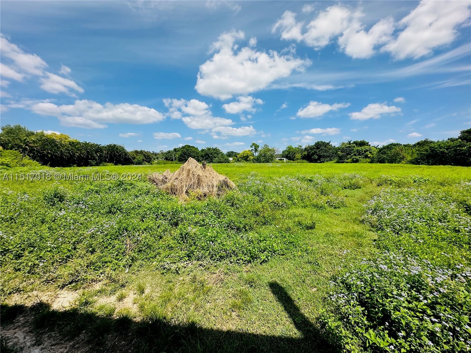 Real estate property located at 5901 160th Ave, Broward, Chambers Land Co Sub Se1/, Southwest Ranches, FL
