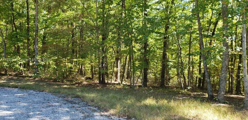 Real estate property located at 53 Poston pl, Outside Of Florida, Cumberland Cove, TN