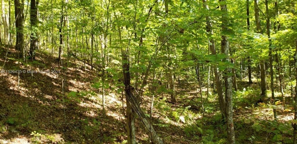 Real estate property located at 53 Poston pl, Outside Of Florida, Cumberland Cove, TN