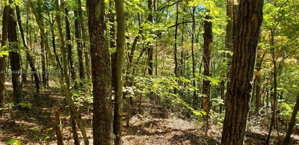 Real estate property located at 53 Poston pl, Outside Of Florida, Cumberland Cove, TN