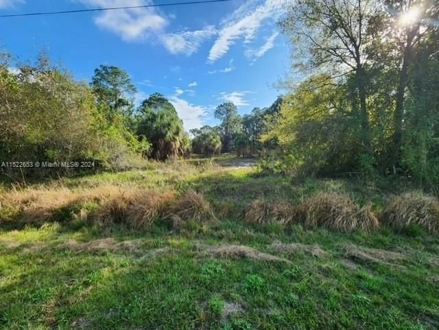 Real estate property located at 235 Palomino St., Hendry County, Montura Ranch Estates, Clewiston, FL