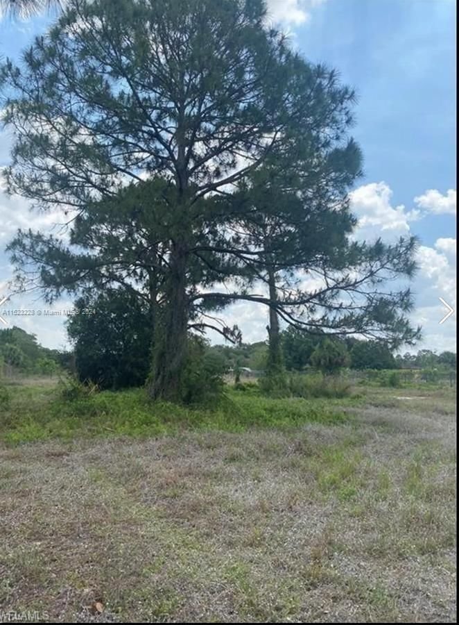 Real estate property located at 215 Granja St, Hendry County, Montura Ranch, Clewiston, FL