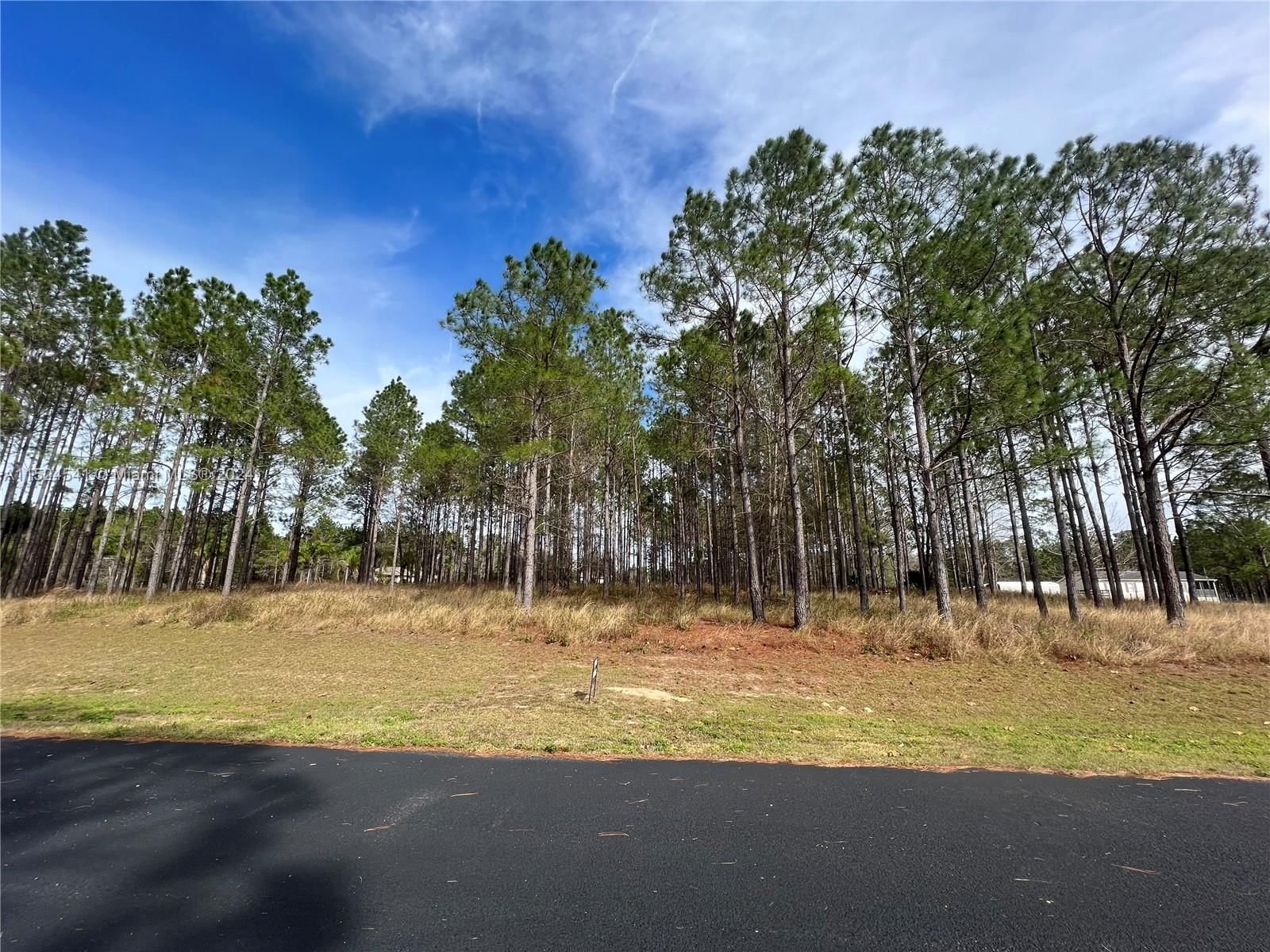 Real estate property located at SE 175 Ter Rd WEIRSDALE, FL 32195, Marion County, COUNTRYSIDE LAKES 1ST ADD., Ocala, FL