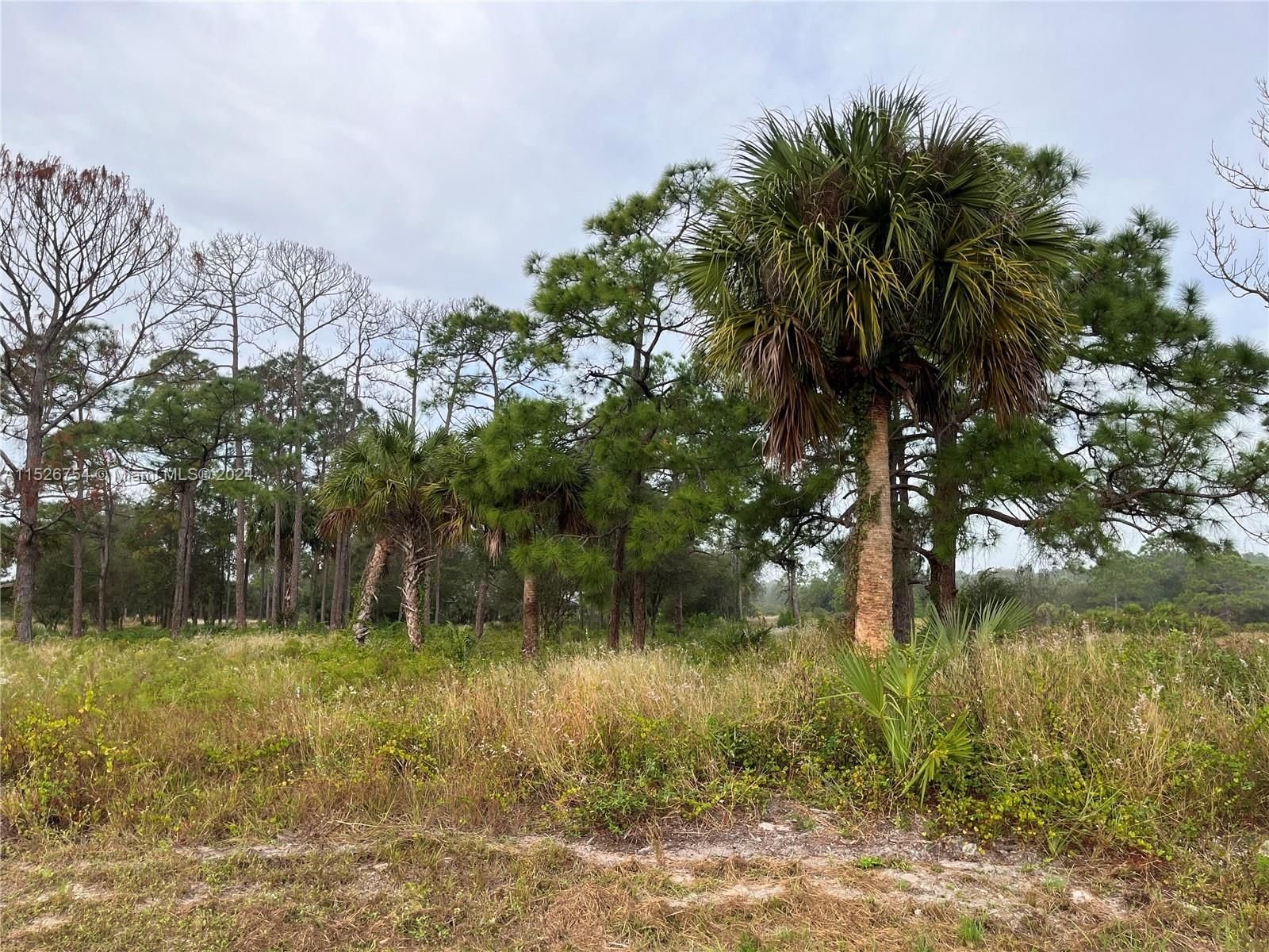 Real estate property located at 810 CABBAGE PALM ST, Hendry County, MONTURA RANCH ESTATES, Clewiston, FL