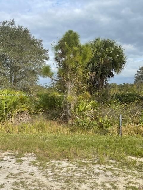 Real estate property located at 225 Zambria St., Hendry County, Montura Ranch Estates, Clewiston, FL