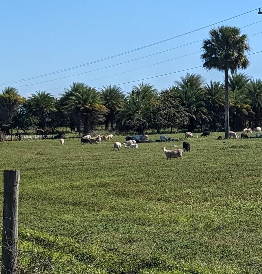 Real estate property located at 9993 US Hwy 27, Hendry County, Acreage, Clewiston, FL
