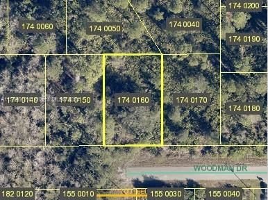Real estate property located at 496 WOODMAN DR, Lee County, Lee County Unincorporated, Lehigh Acres, FL