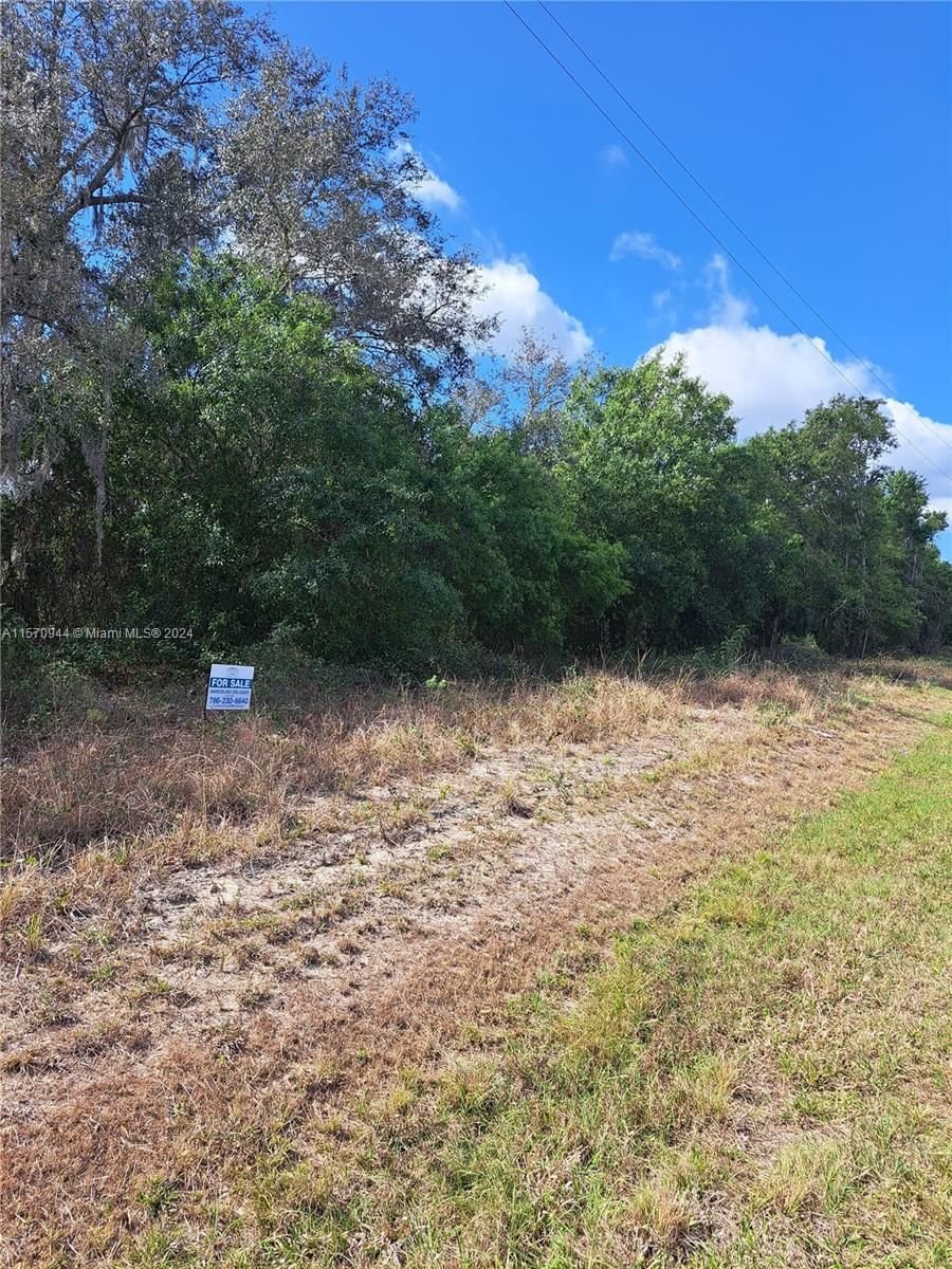 Real estate property located at 4801 Hendry Isles Blvd, Hendry County, Pioneer, Clewiston, FL