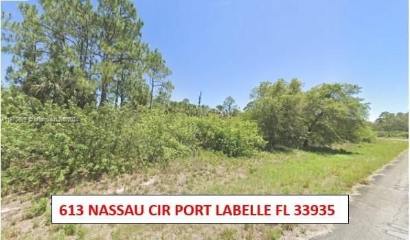 Real estate property located at 613 NASSAU, Hendry County, PORT LaBELLE UNIT 10, La Belle, FL
