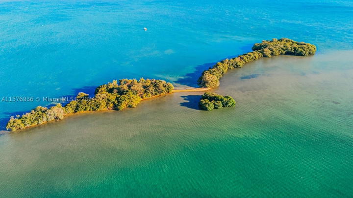 Real estate property located at 1 BIRD KEY, Miami-dade, Bird Key, Miami, FL