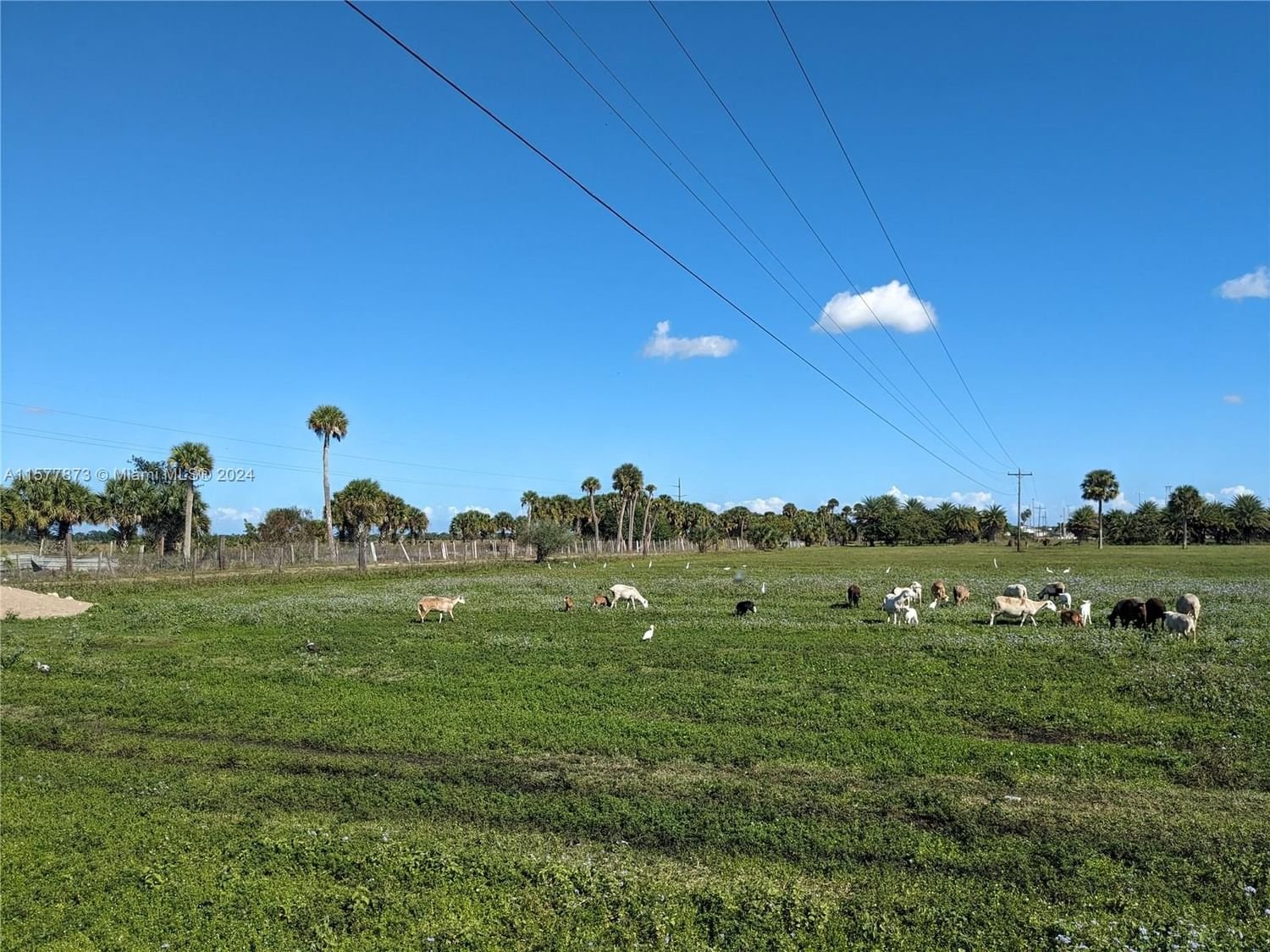 Real estate property located at 9993 US HWY 27, Hendry County, ACREAGE, Clewiston, FL