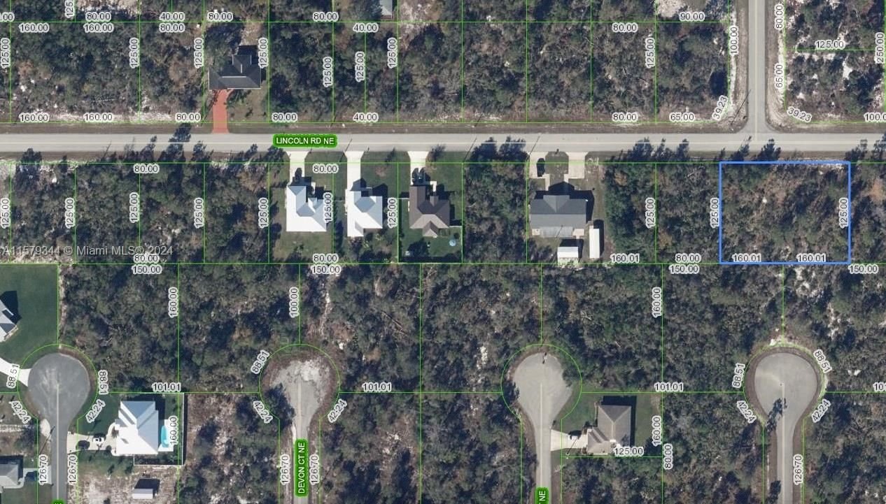 Real estate property located at 297 Lincoln RD NE, Highlands County, PLACID LAKES SEC 20, Lake Placid, FL