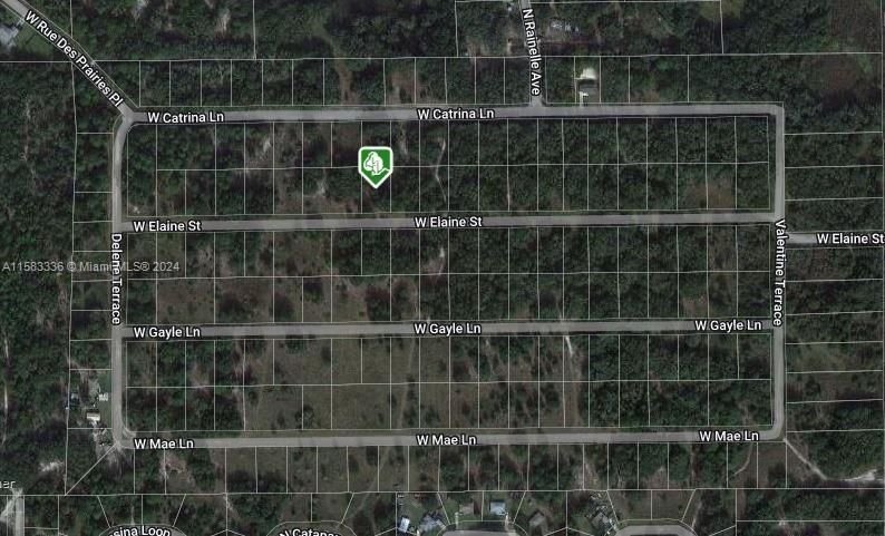 Real estate property located at 8333 ELAINE ST, Citrus County, SUNSHINE GULF ESTATES, Other City - In The State Of Florida, FL