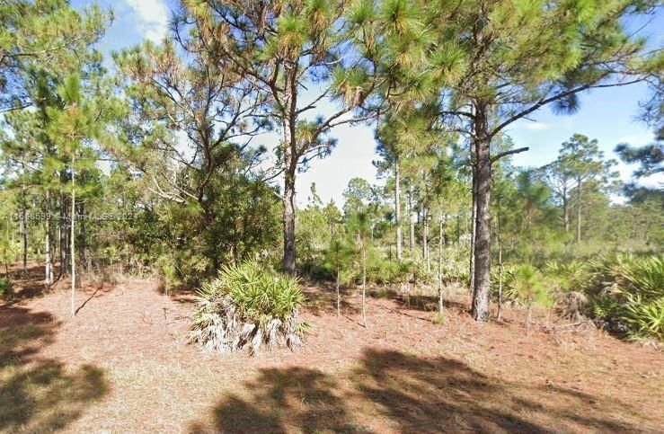 Real estate property located at 804 TROPICANA DR, Polk County, INDIAN LAKE ESTATES, Other City - In The State Of Florida, FL