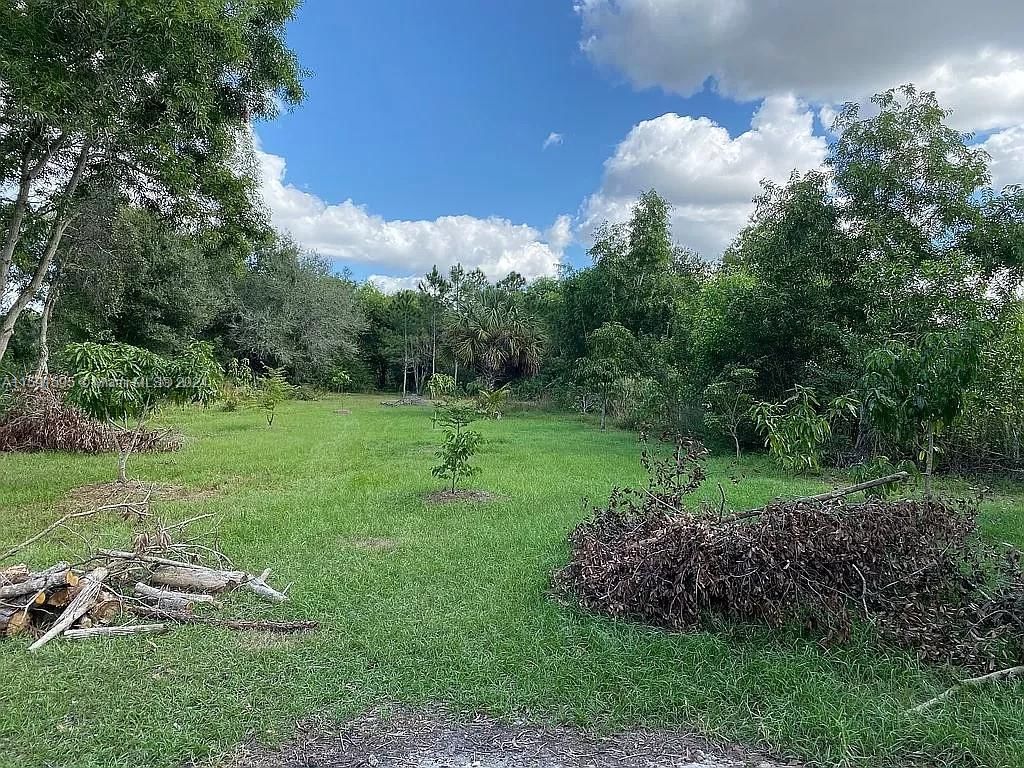 Real estate property located at 13271 PINTO LN, Lee County, 0, Fort Myers, FL