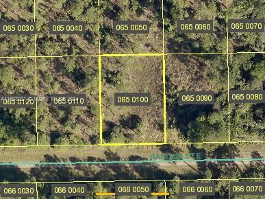 Real estate property located at 1243 RANDOM ST E, Lee County, N/A, Lehigh Acres, FL