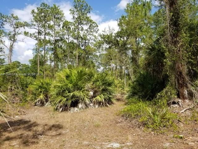 Real estate property located at 808 Michael ave, Lee County, Lehigh Acres, Lehigh Acres, FL