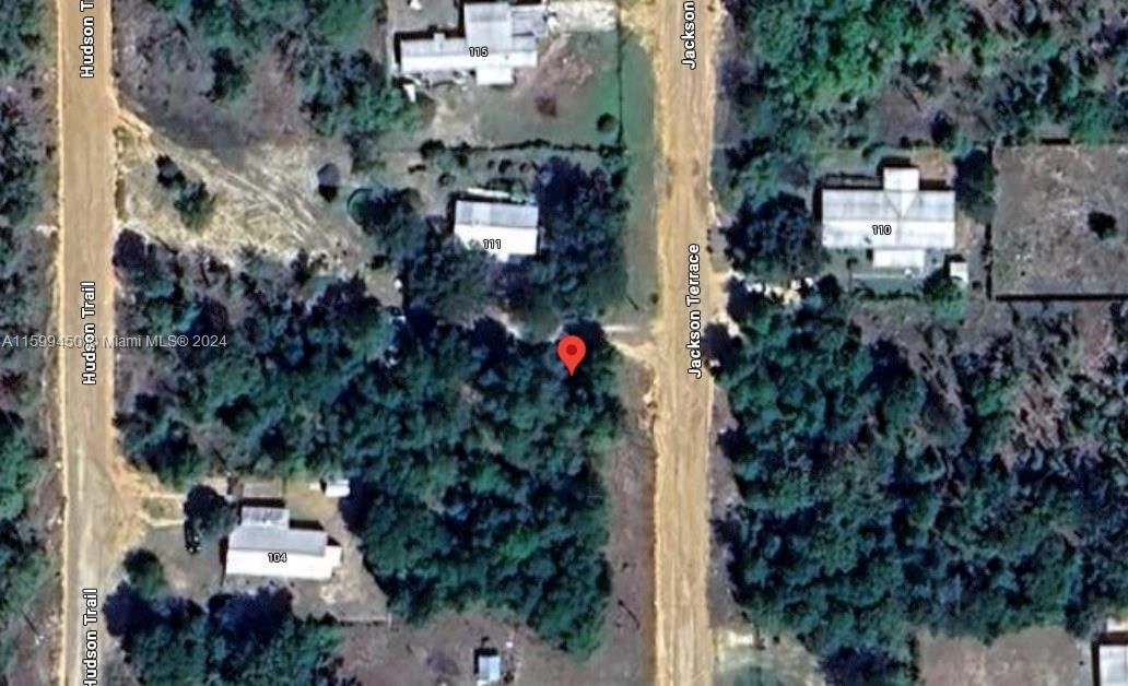 Real estate property located at Lots 39 & 40 Jackson Street, Putnam County, Trout Lake Village, Other City - In The State Of Florida, FL