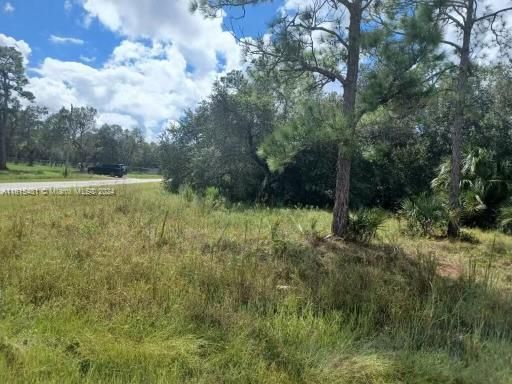 Real estate property located at 318 HUNTING CLUB AVE, Hendry County, MONTURA SOUTH HALF, Clewiston, FL