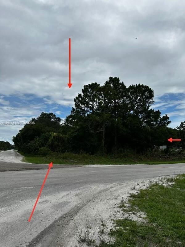 Real estate property located at 685 Cabbage Palm ST, Hendry County, THE WOODLAND S/D, Clewiston, FL