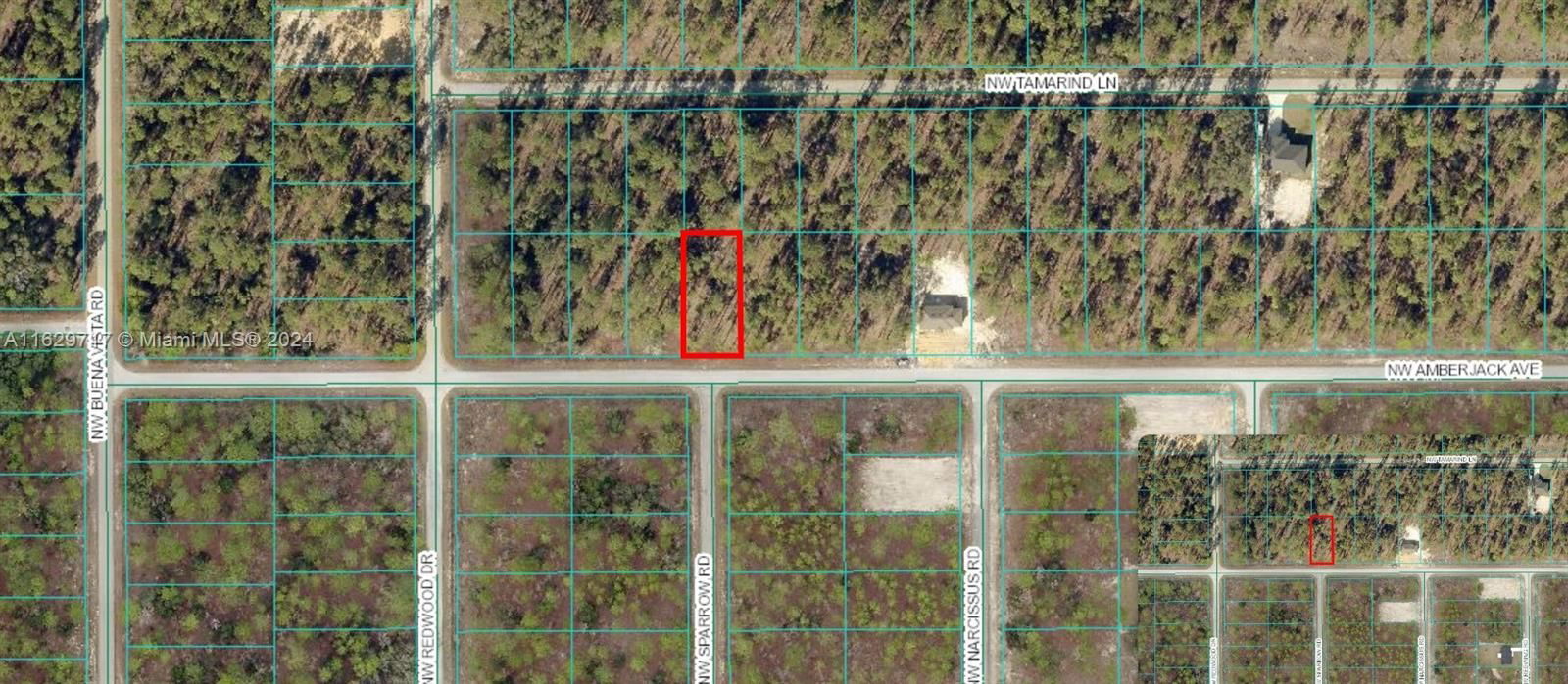 Real estate property located at TBD Amberjack Ave, Marion County, Rainbow Lakes Estate, Other City - In The State Of Florida, FL