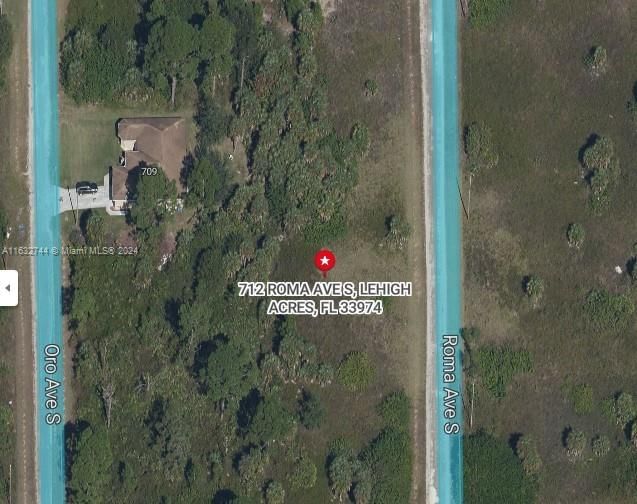 Real estate property located at 712 Roma Ave S, Lee, N/A, Lehigh Acres, FL