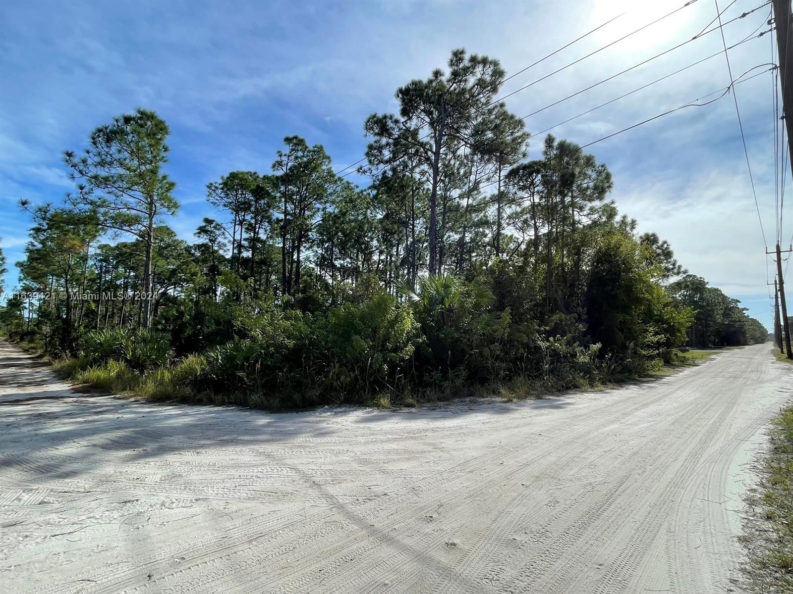 Real estate property located at 0 Slash Pine Trl, St Lucie, METES AND BOUNDS, Fort Pierce, FL