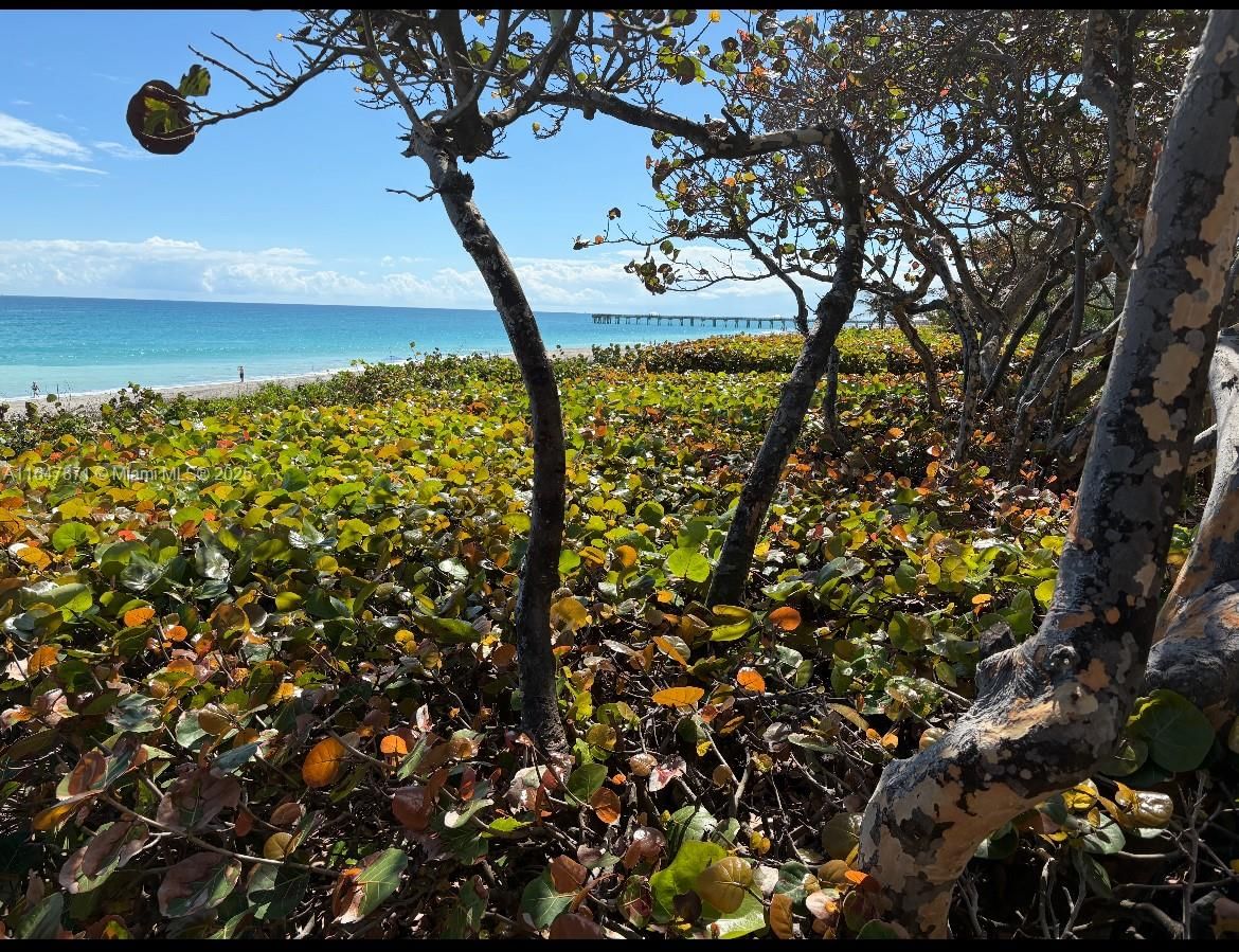Real estate property located at 1703 Mizzenmast Way #1703, Palm Beach, Sea Colony Condo, Jupiter, FL