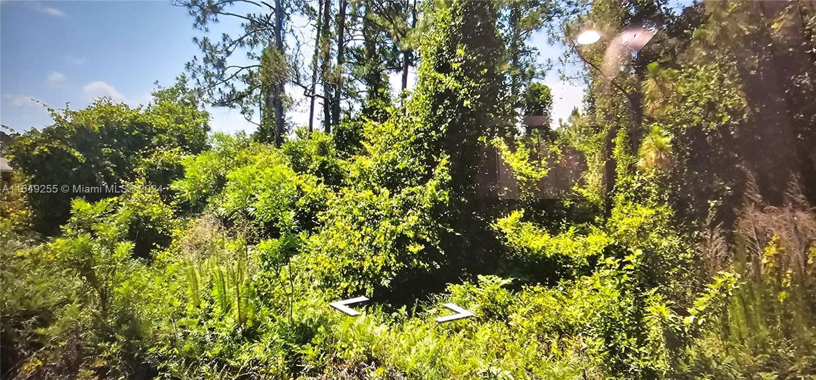 Real estate property located at 5701 EML, Highlands, ORANGE BLOSSOM ACRE LOTS, Sebring, FL