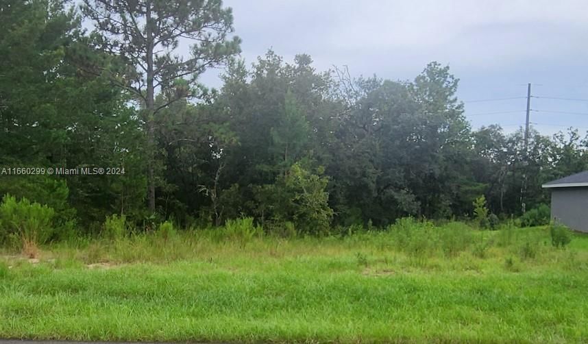 Real estate property located at 000 153 PL Rd, Marion, MARION OAKS, Ocala, FL