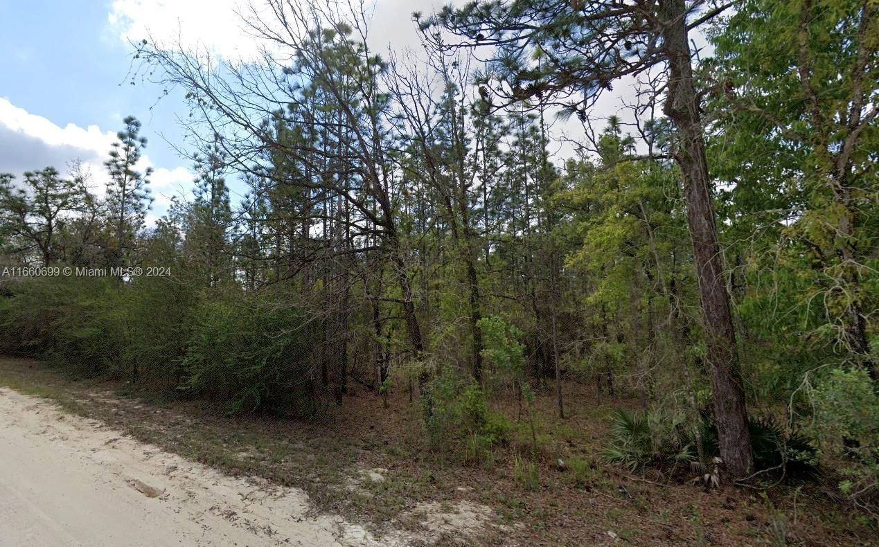 Real estate property located at Lot 10 Albany Road, Hernando, Country Estates UN 1, Other City - In The State Of Florida, FL