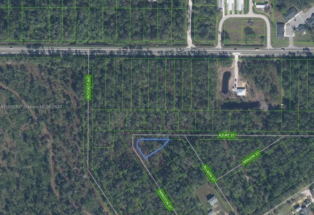 Real estate property located at 2124 Abington Street, Highlands, AVOCADO PARK, Sebring, FL