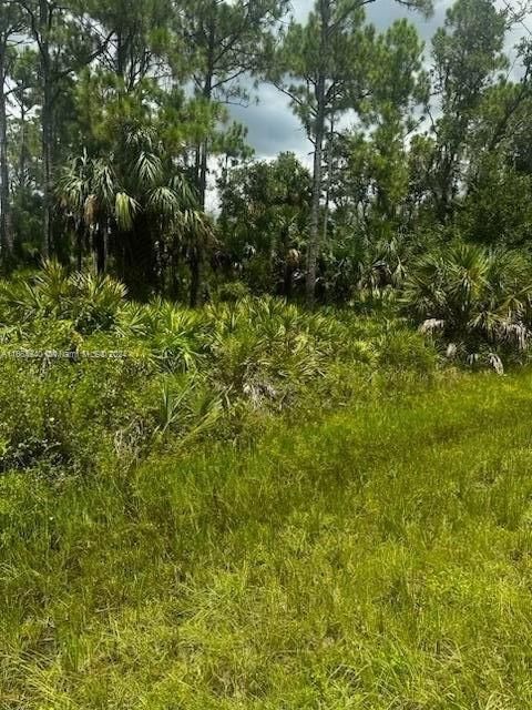 Real estate property located at 14104 Carrie Ave, Sarasota, PORT CHARLOTTE SEC 048, Other City - In The State Of Florida, FL