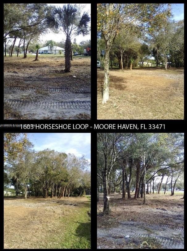 Real estate property located at 1603 HORSESHOE LOOP, Glades, HORSESHOE ACRES, Moore Haven, FL