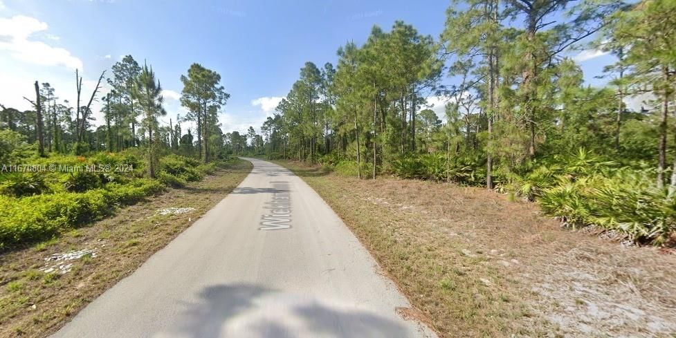 Real estate property located at 449 Wickham Avenue S, Lee, Residential-Vacant Land, Lehigh Acres, FL