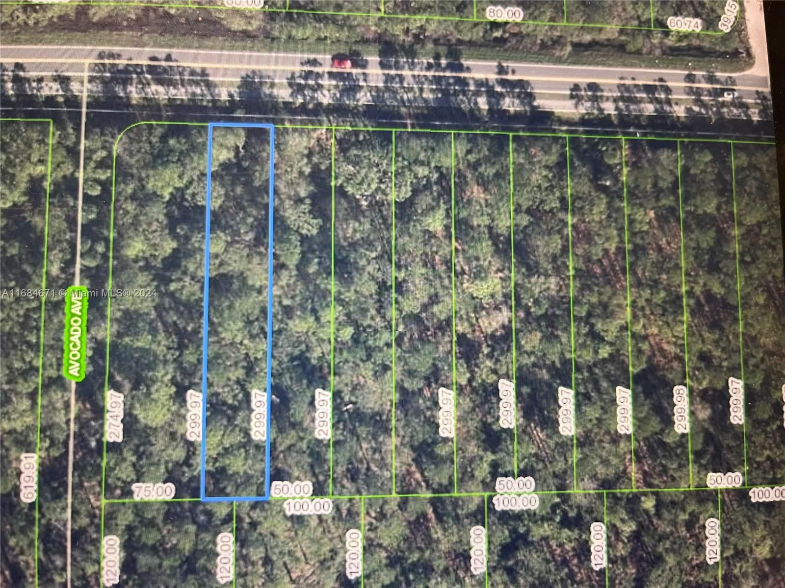 Real estate property located at 2667 Hammock Rd, Highlands, Orange Blossom, Sebring, FL