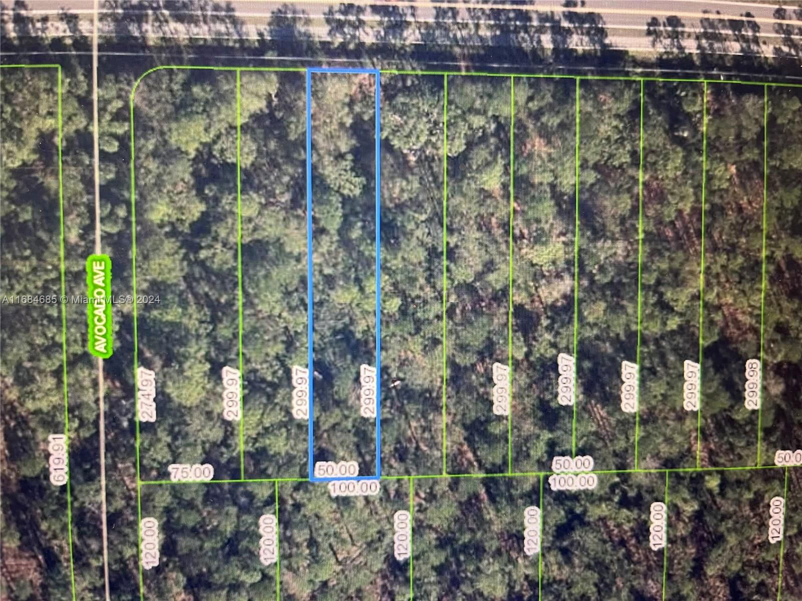 Real estate property located at 2651 Hammock Rd, Highlands, Orange Blossom, Sebring, FL