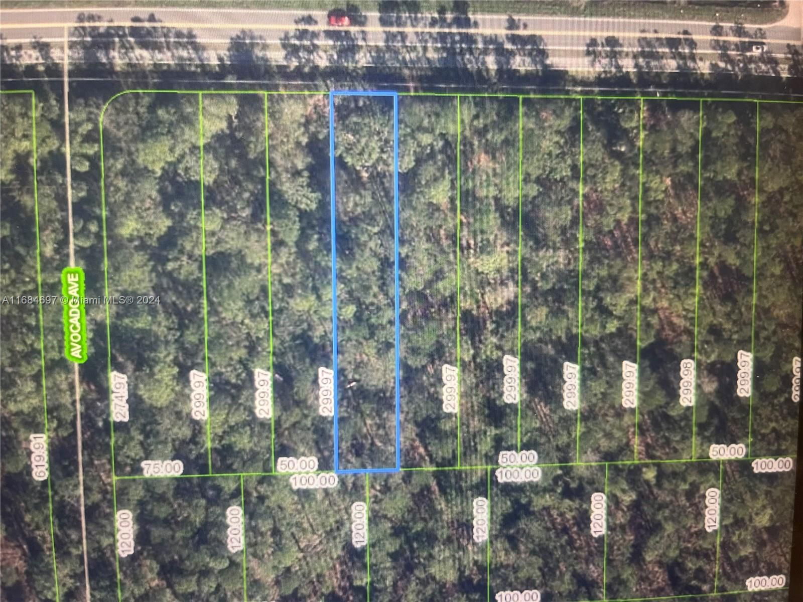 Real estate property located at 2637 Hammock Rd, Highlands, Orange Blossom, Sebring, FL