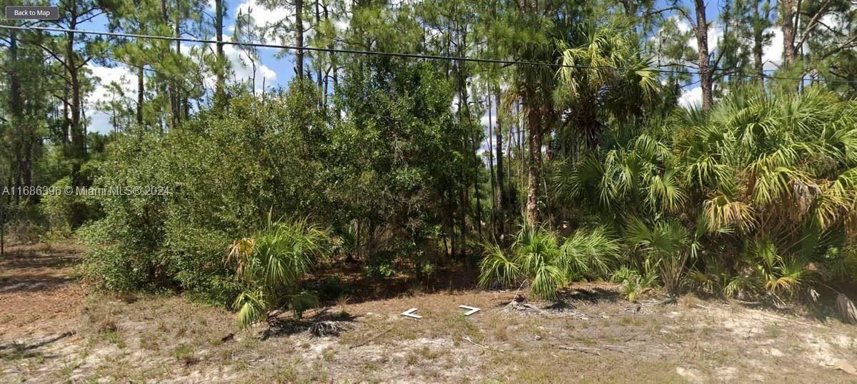 Real estate property located at 4205 10th st, Lee, Leehigh Acres, Lehigh Acres, FL