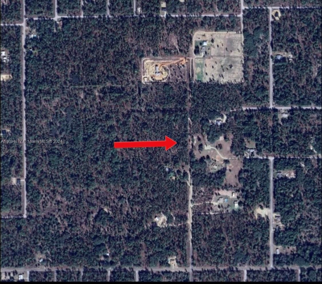 Real estate property located at SW Obee Ridge Rd, Marion, Piney Hills Farm, Other City - In The State Of Florida, FL