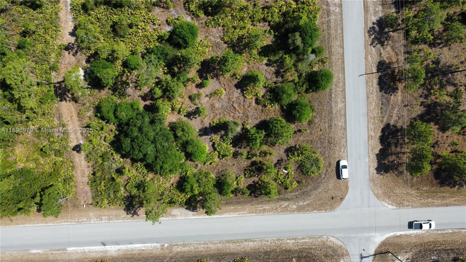 Real estate property located at 3007 10 St, Lee, Lee County Unincorporated, Lehigh Acres, FL