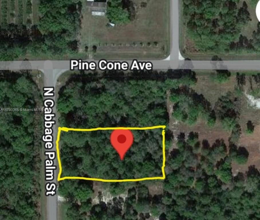 Real estate property located at 875 CABBAGE PALM ST, Hendry, MONTURA RANCHES, Clewiston, FL