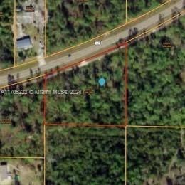 Real estate property located at 0 HWY 167, Bay, WILLIAMS SUBDIVISION, Other City - In The State Of Florida, FL