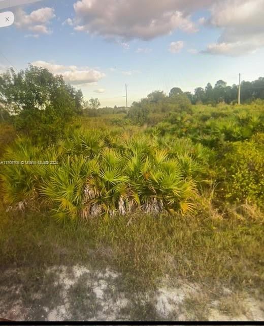 Real estate property located at 1402 Louis Ave, Lee, Lehigh Acres, Lehigh Acres, FL